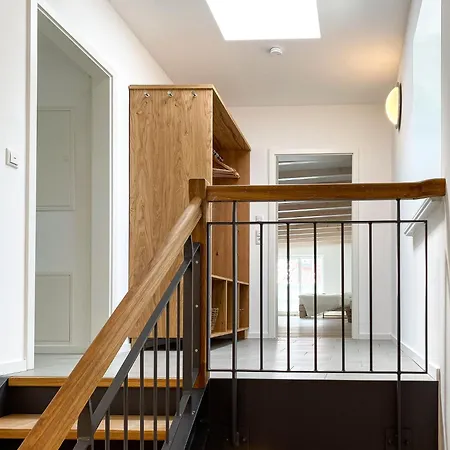 Cozy Three זינקסט