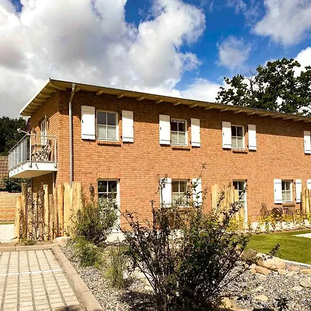 Cozy Three זינקסט